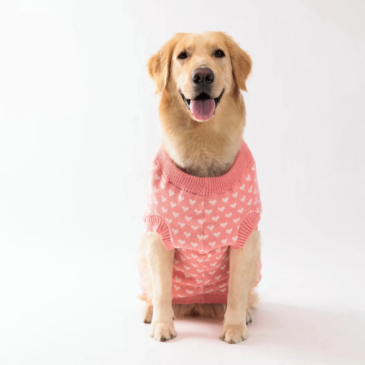 Knitted Dog Sweater