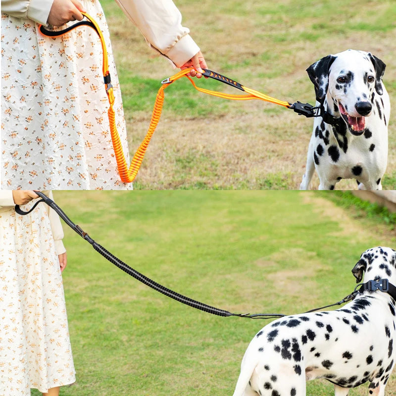 Tactical Dog Leash