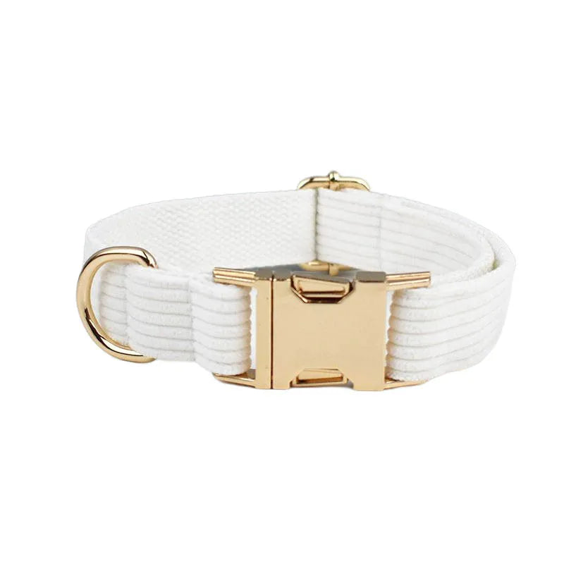 White Dog Harness in Dog collar