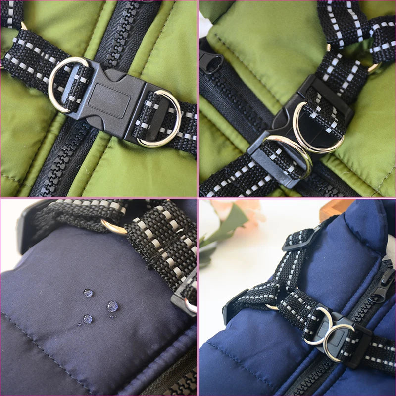 Dog Jacket With Harness