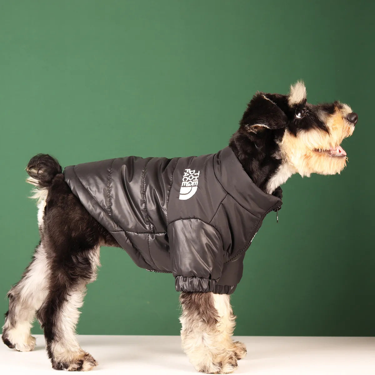 Dog Winter Coat Tex