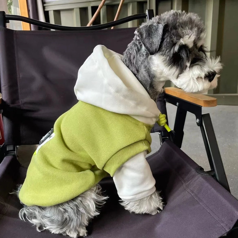 Season: Perfect for winter, providing extra warmth during chilly walks or outdoor activities.