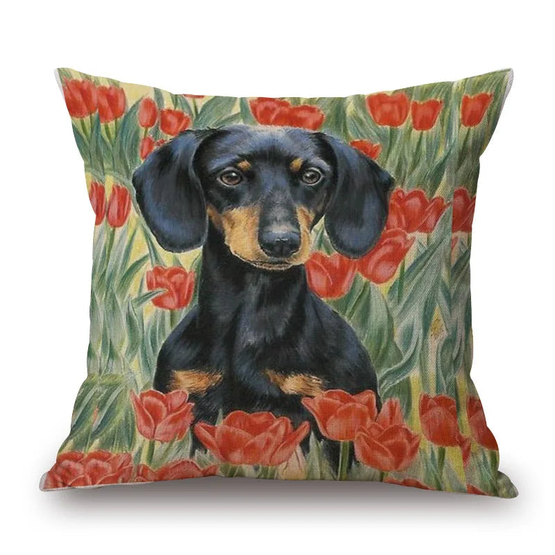 Dachshund Cushion Covers