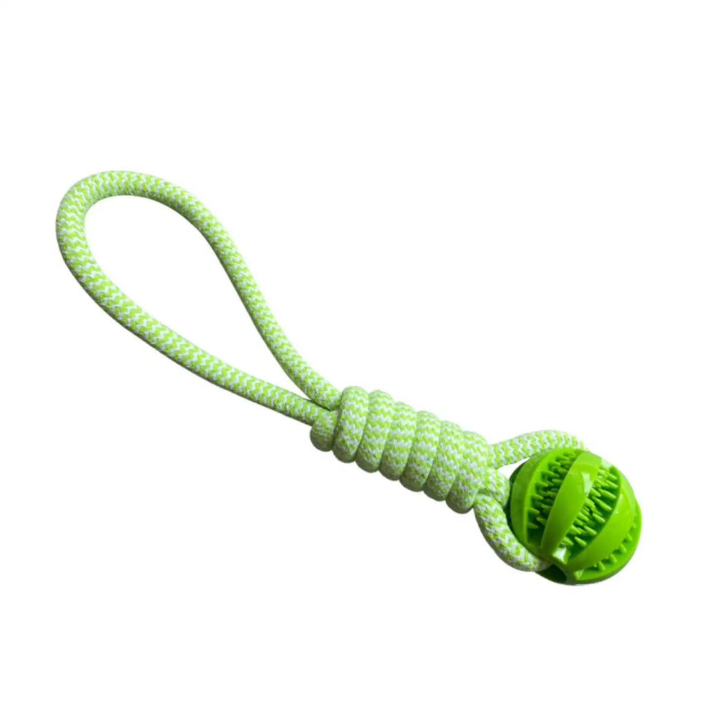 Dog Leaking Food Ball in Green