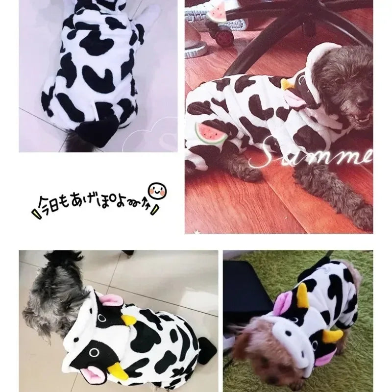 Cow Dog Costume