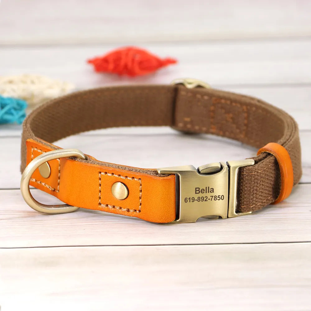 Personalized Adjustable Dog Collars in Brown