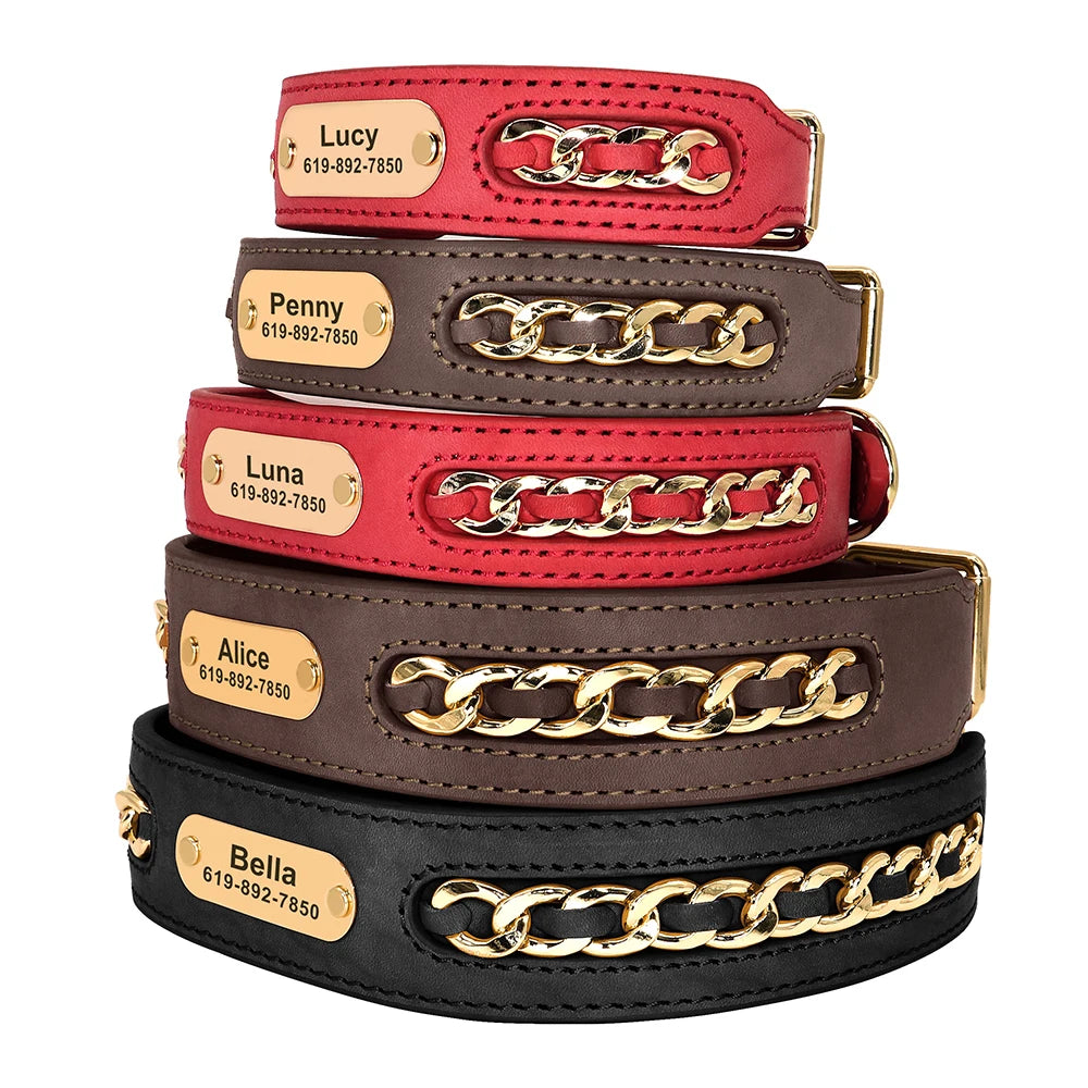 Customized Dog Collar