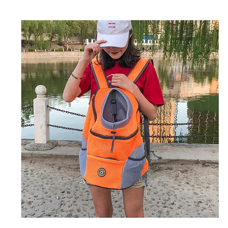 Dog Carrying Backpack, photo 5