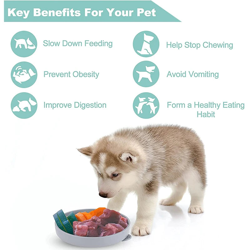 Slow Feeder For Small Dogs