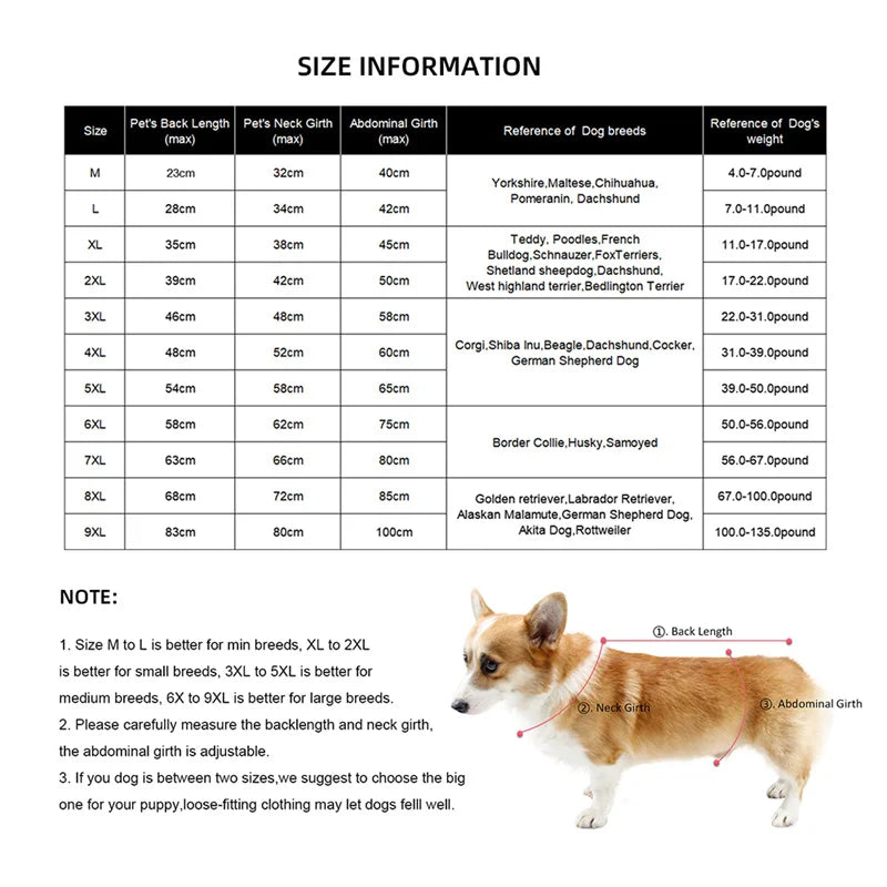Impermeable Big Dog Raincoat