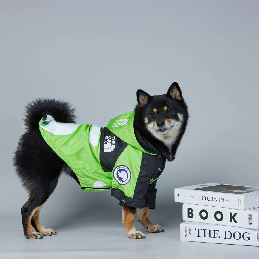 Comfortable Fit: Designed with your dog's comfort in mind, this jacket features an adjustable strap and a lightweight construction for a snug and comfortable fit.