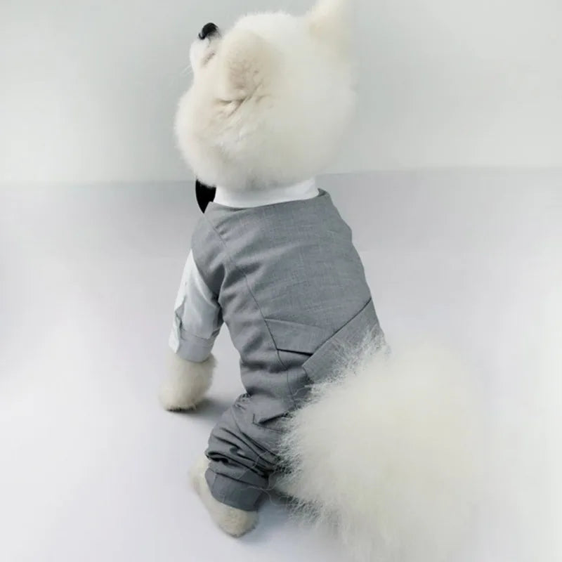 Dog Wedding Clothes