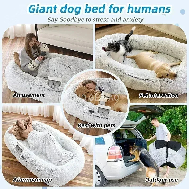 Human Dog Bed, photo 3