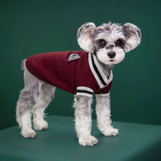 Dog Sweater Dog