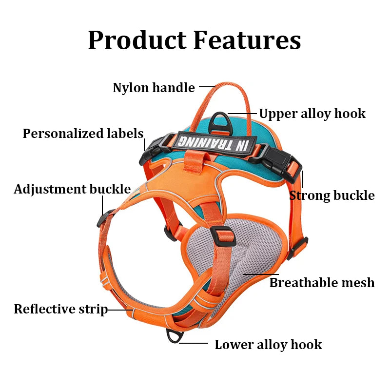 Personalized Dog Harness No Pull