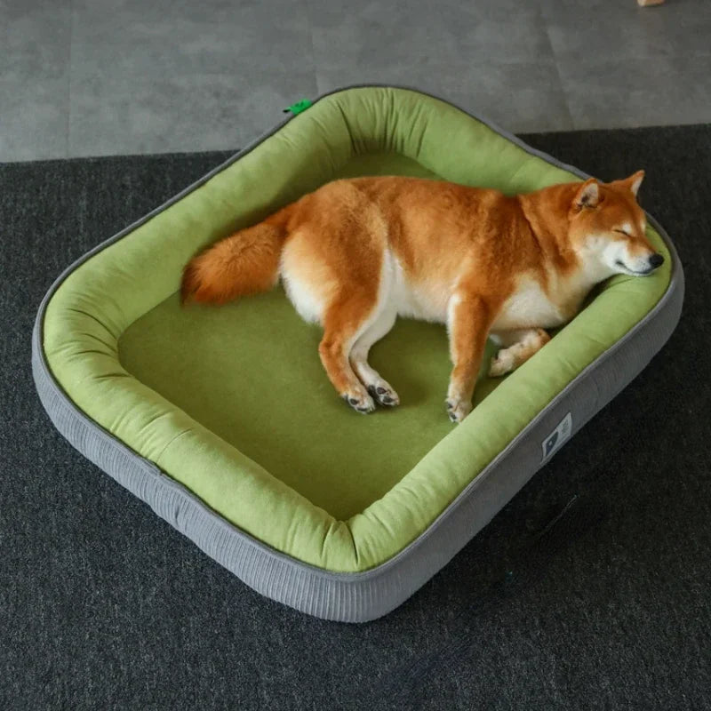 Modern Dog Bed