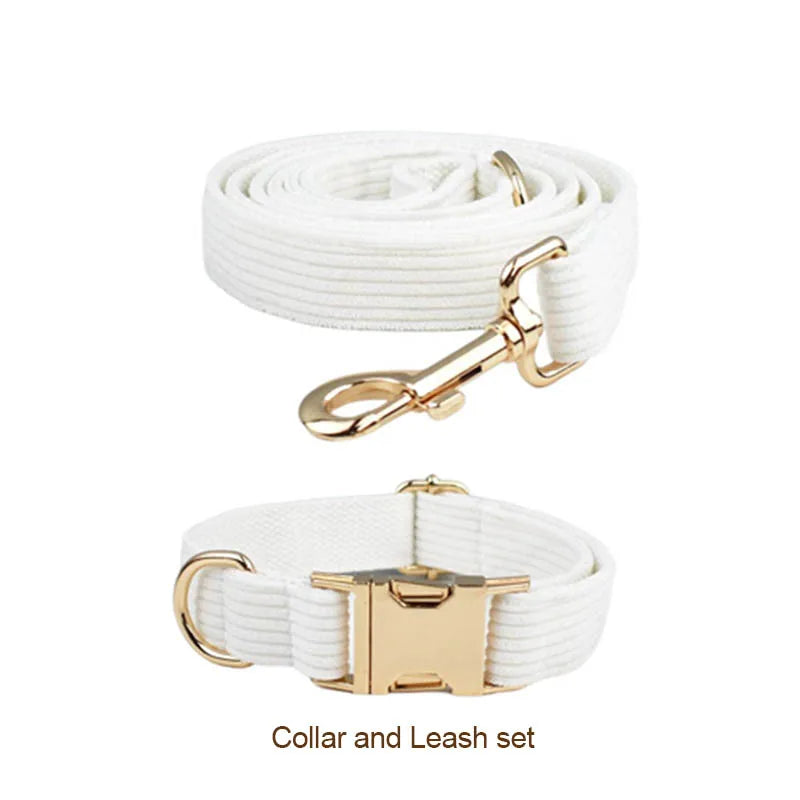 White Dog Harness in Collar & Leash