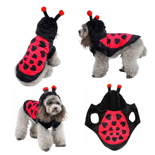 Ladybug Dog Costume