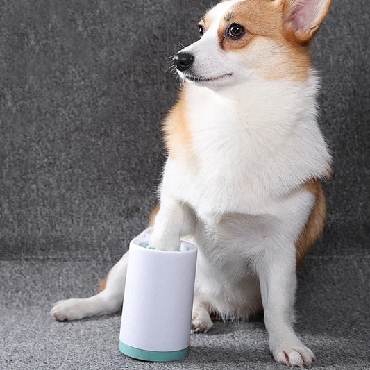 Dog Paw Cleaning Station