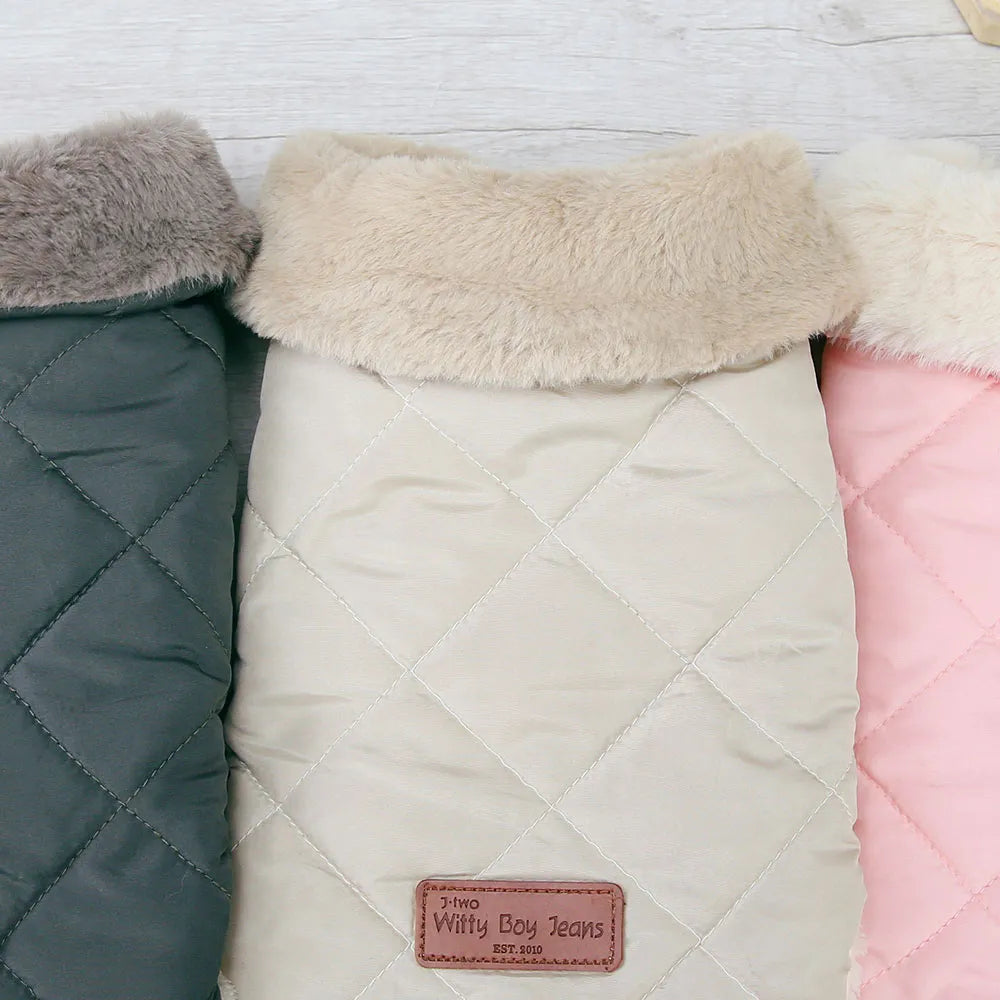 Small Dog Breed Jacket