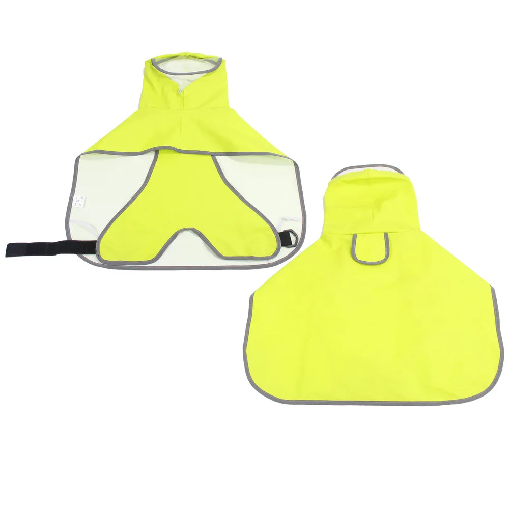 Impermeable Big Dog Raincoat in Green