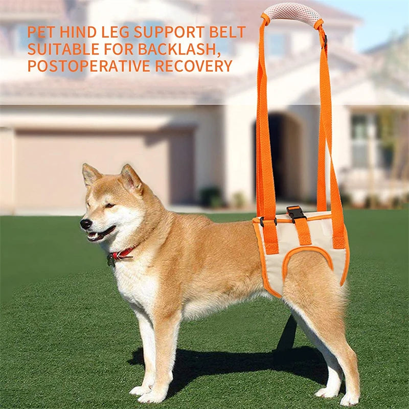 Sling For Dogs Back Legs