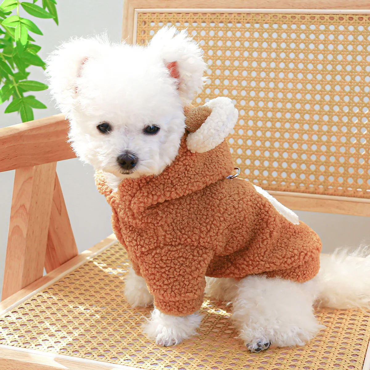 Teddy Bear Hoodie