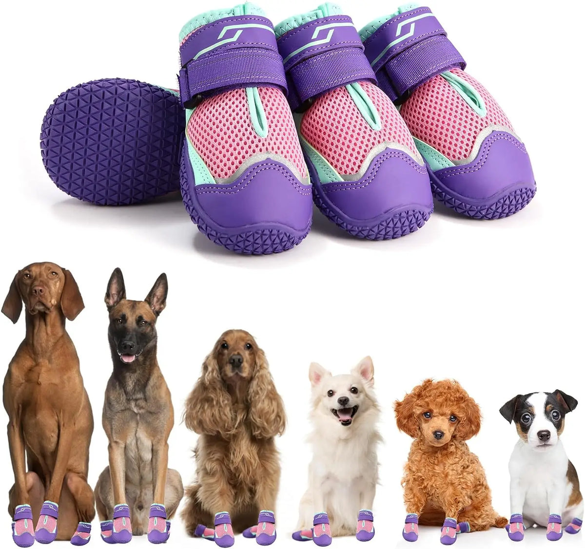 Outdoor Dog Shoes in Purple
