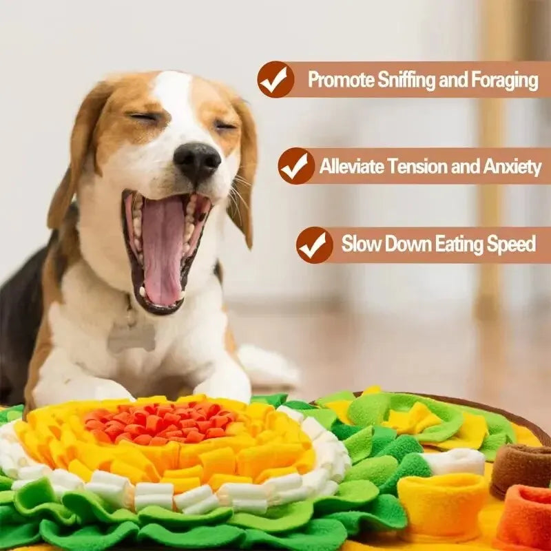 Best Snuffle Mat For Dogs, photo 4