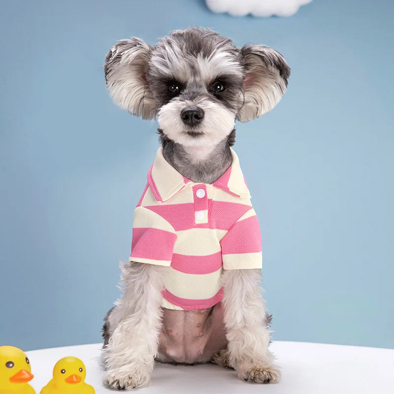 Dog Polo Shirt in Pink