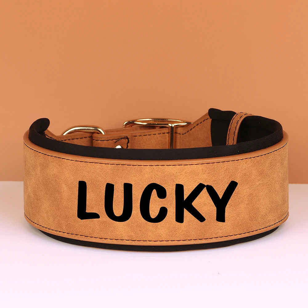 Personalized Dog Collar With Name in Printed 4