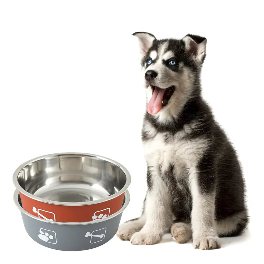 Print Pattern: Adds a stylish touch to your pet's feeding station, making mealtime more enjoyable for both you and your dog.