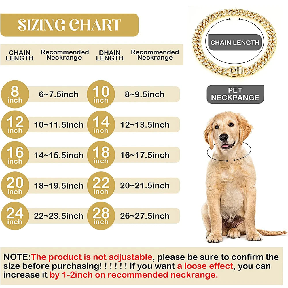 Gold Dog Chain Collar
