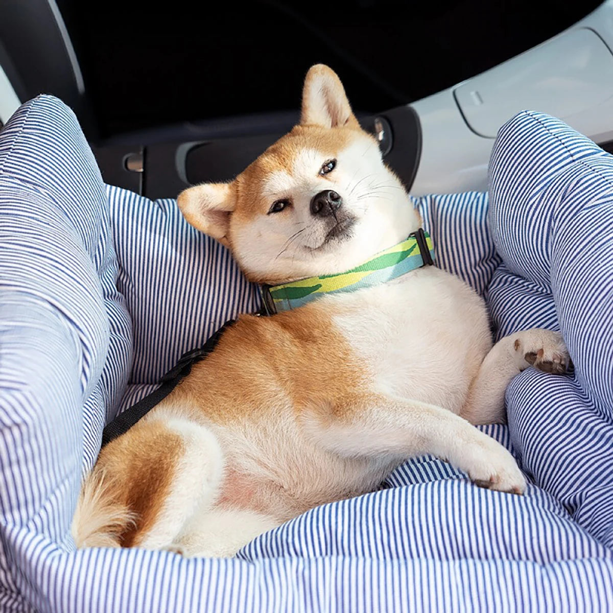 Car Seat For Small Dog