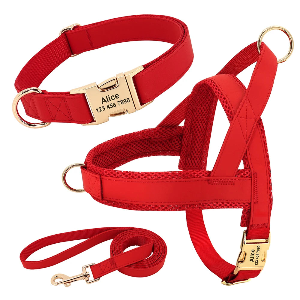 Personalized No Pull Dog Harness in Red (Collar Harness & Leash)