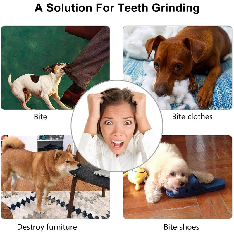 Kong Dog Toys For Aggressive Chewers, photo 5