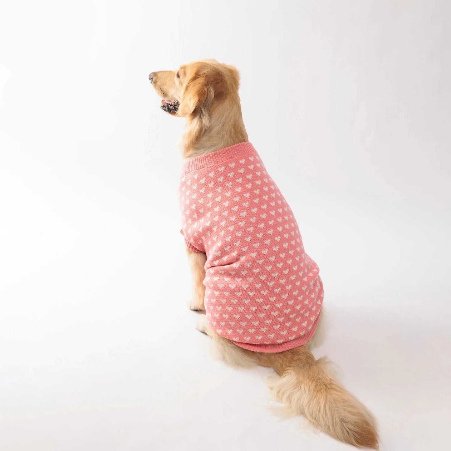 Knitted Dog Sweater
