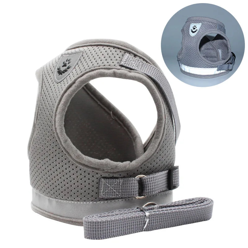 Blue Dog Harness in Gray