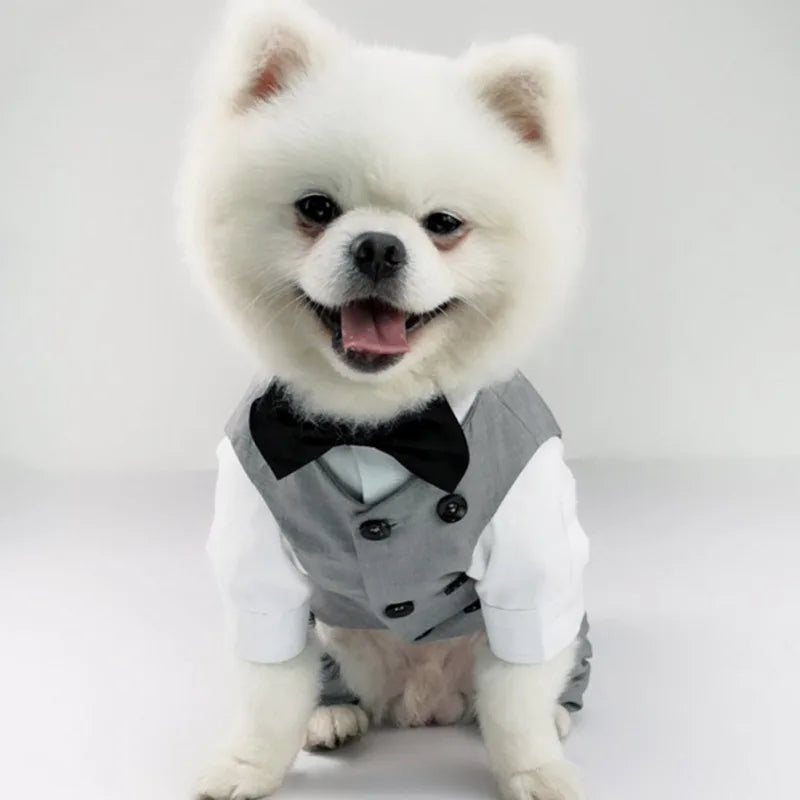 Dog Wedding Clothes