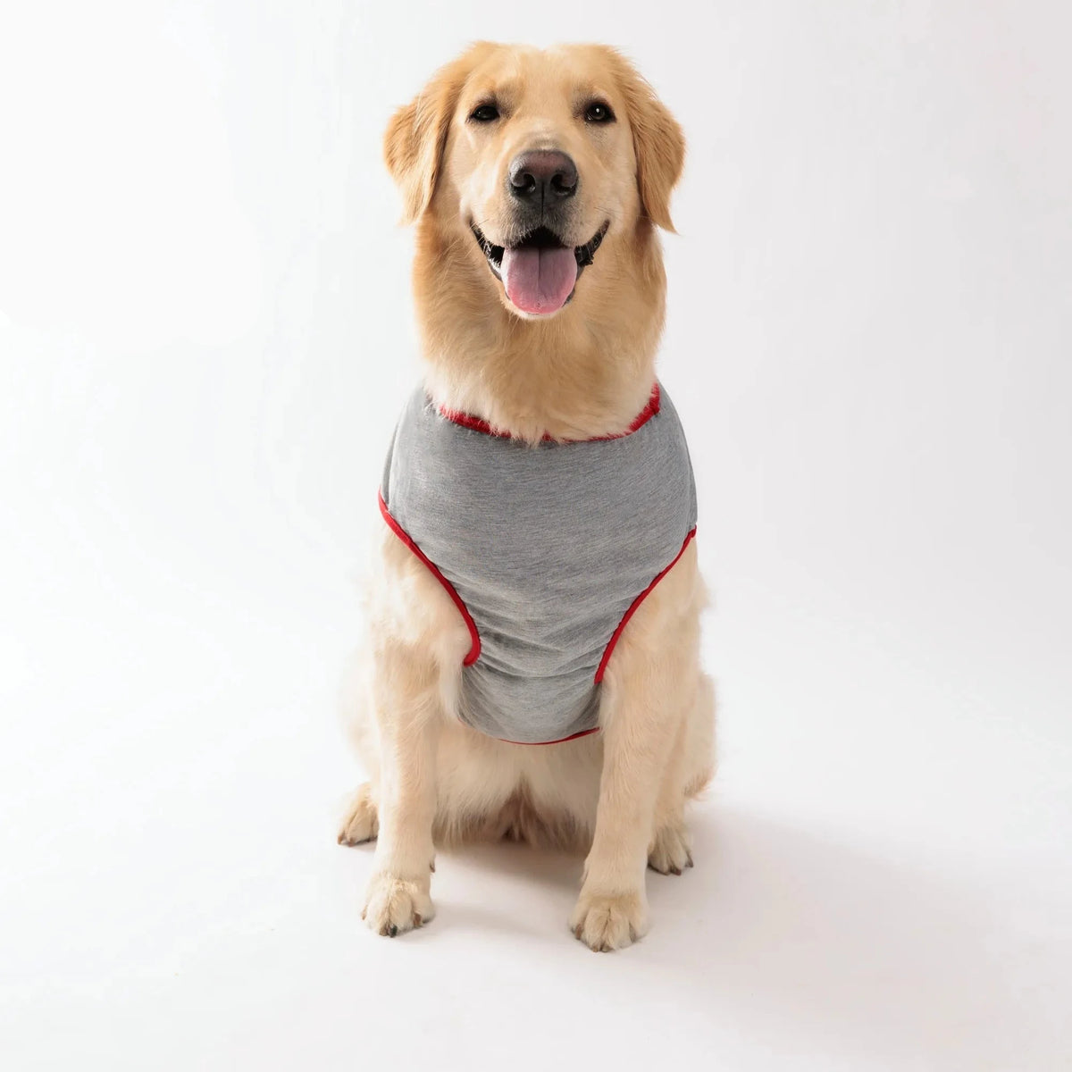 Cute Dog Shirts, photo 5