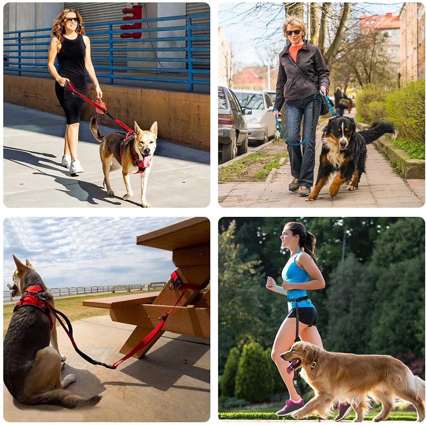 Adjustable Dog Leash