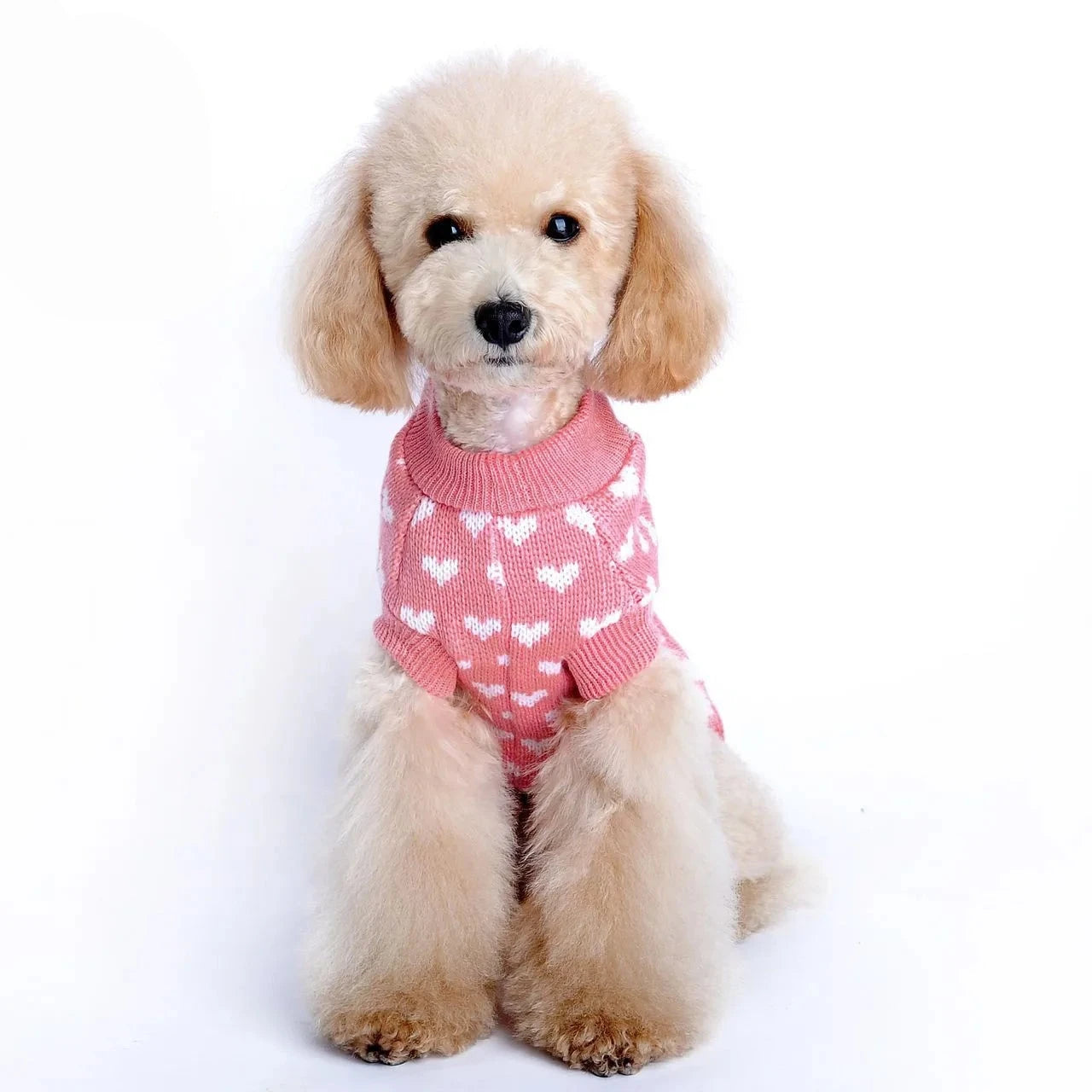 Knitted Dog Sweater