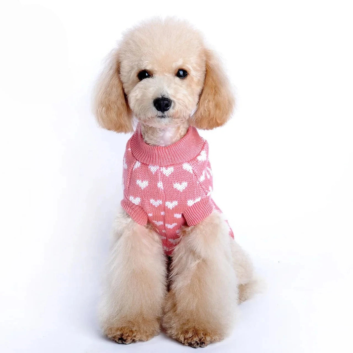 Knitted Dog Sweater, photo 2