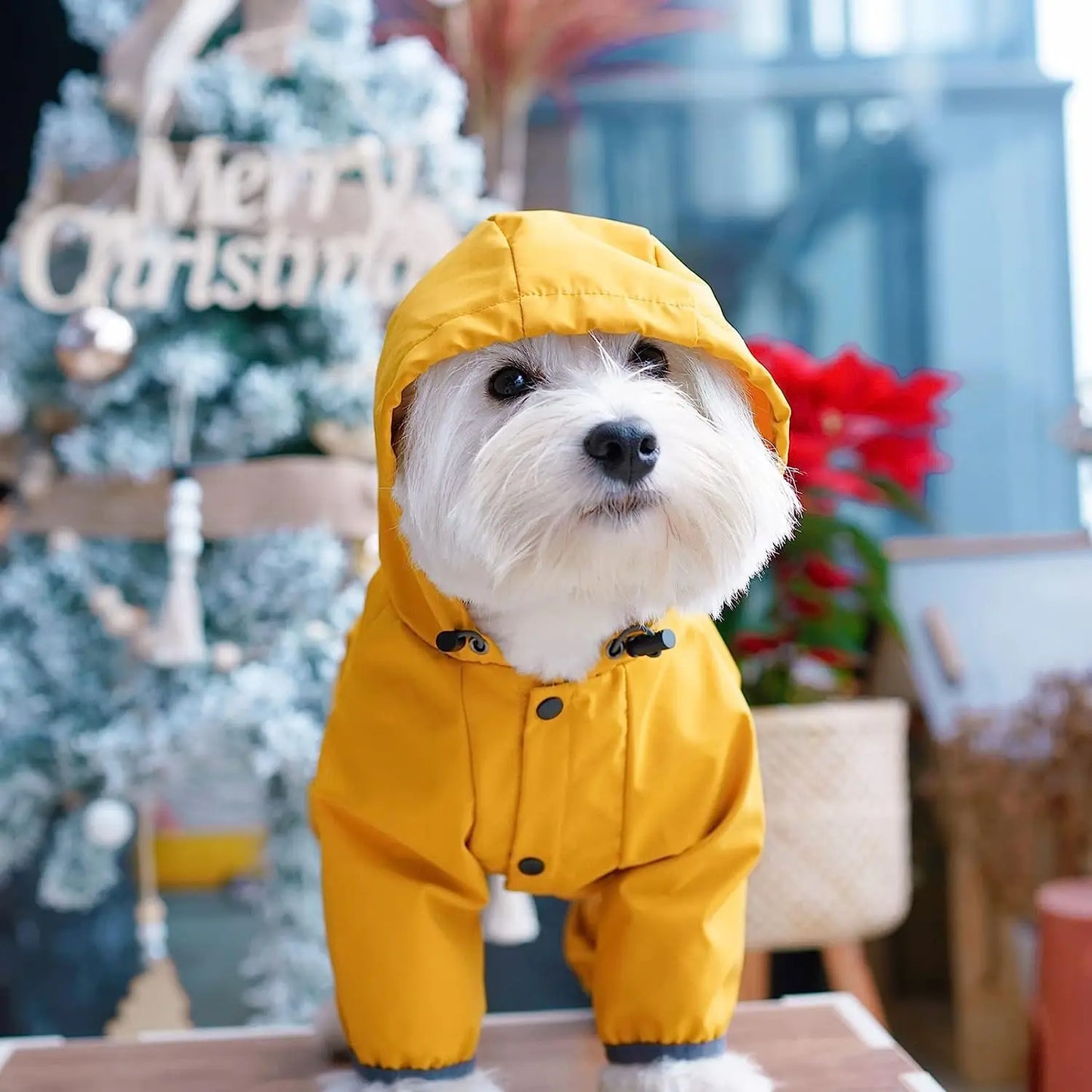 Dog Raincoat With Hood