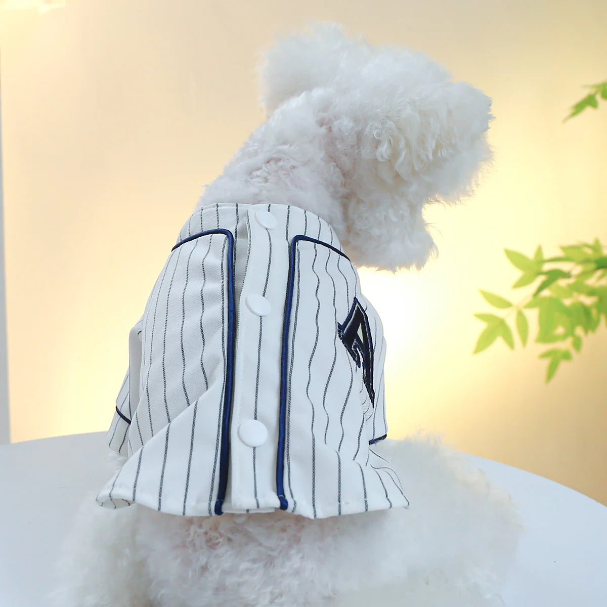 Small Dog Shirts