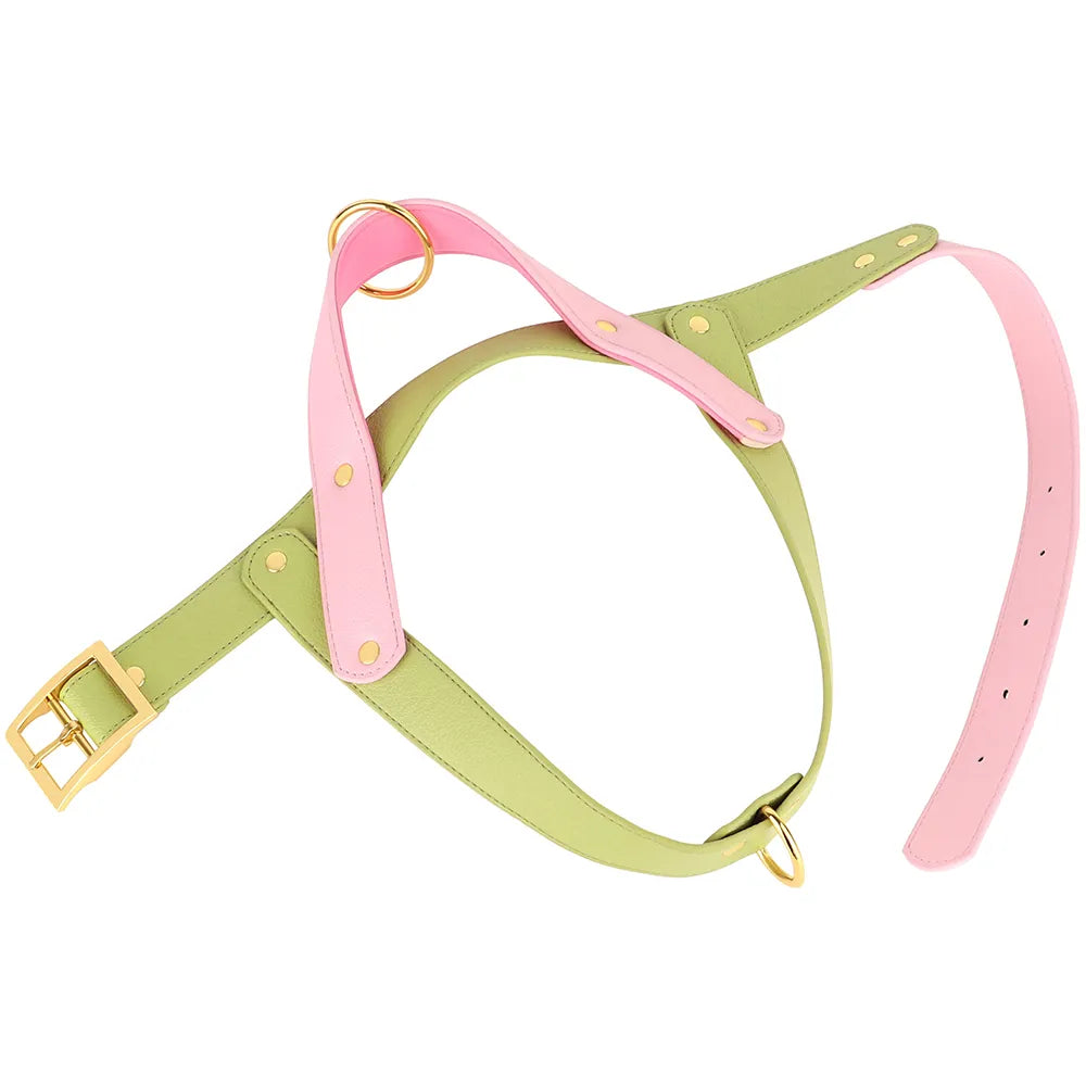 Leather Dog Harness