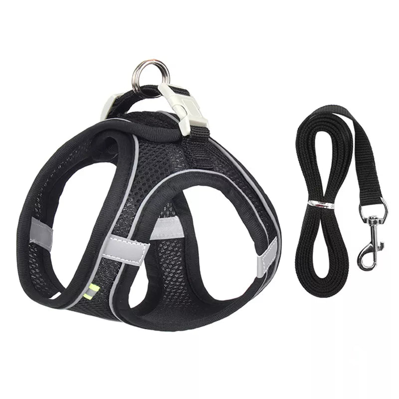Comfort Harness For Small Dogs in Black
