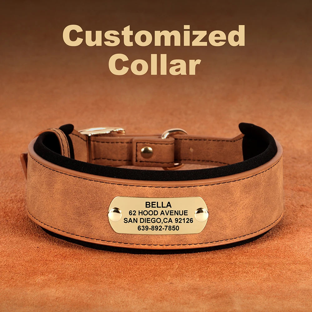 Personalized Dog Collar in Laser Engrave 4