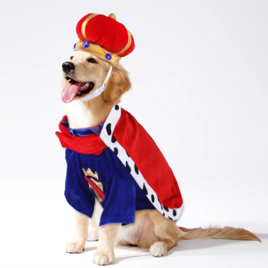 Pattern: This stylish costume features an eye-catching print that will make your furry friend stand out wherever they go.