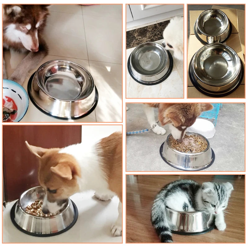 Stainless Steel Dog Bowls